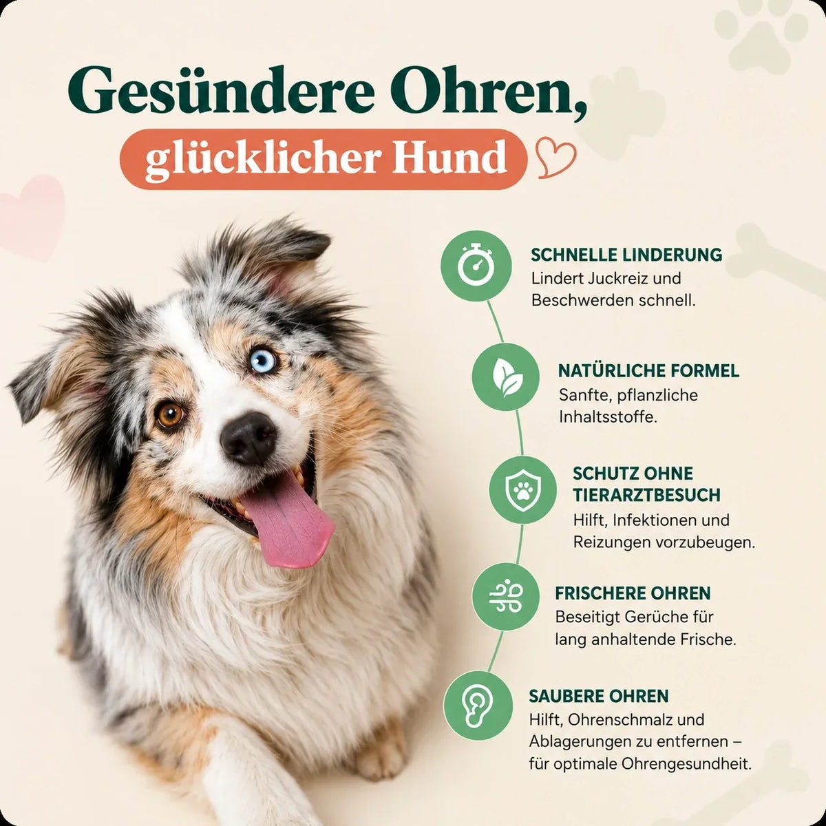 Gesuendere Ohren, gluecklicher Hund