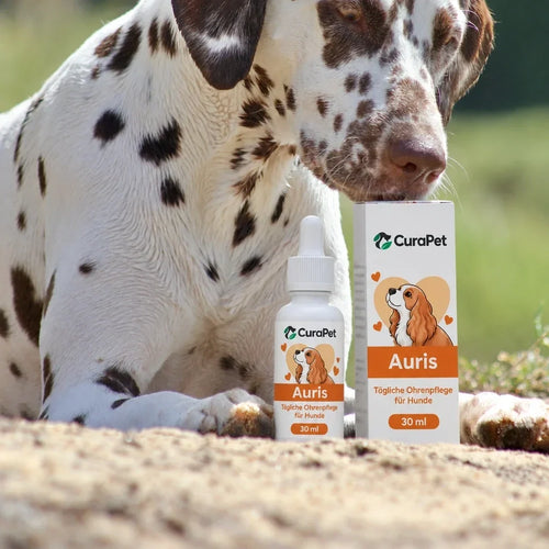 CuraPet Auris Ohrenreiniger 30 ml mit Verpackung
