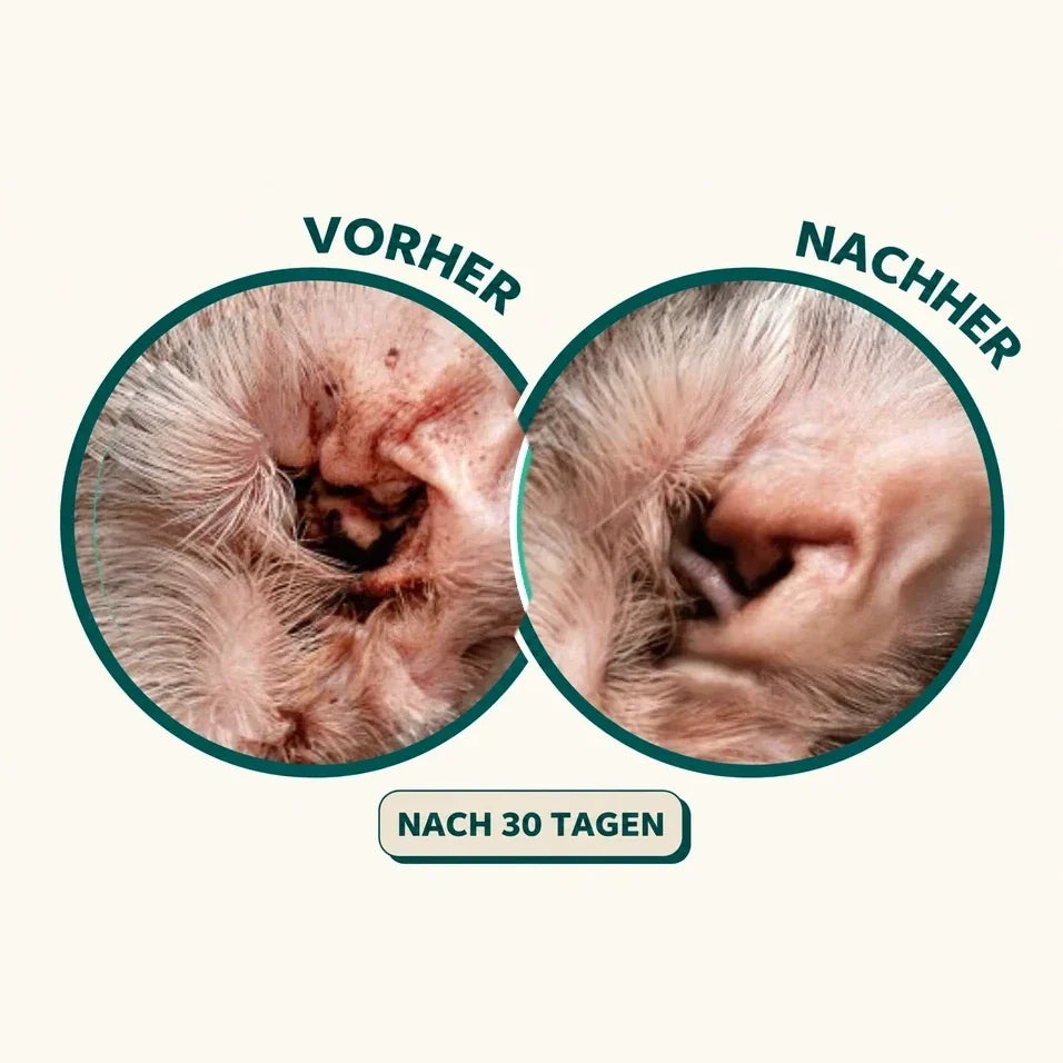 Gehoergang vorher und nachher