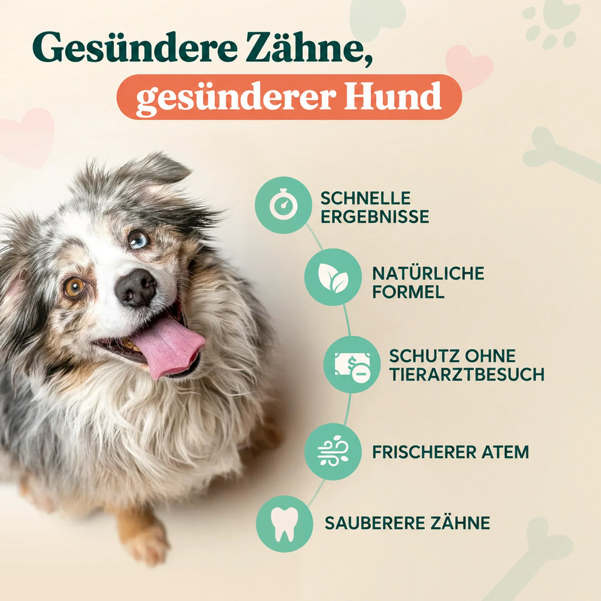 Gesuendere Zaehne, gesuenderer Hund