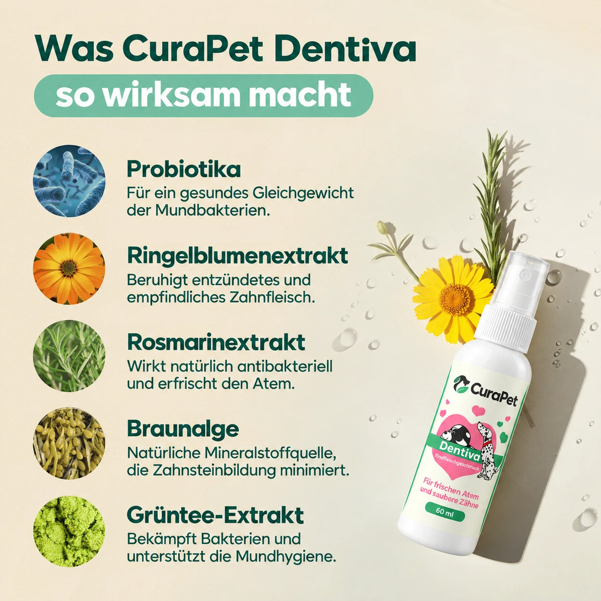Was CuraPet Dentiva so wirksam macht — Inhaltsstoffe